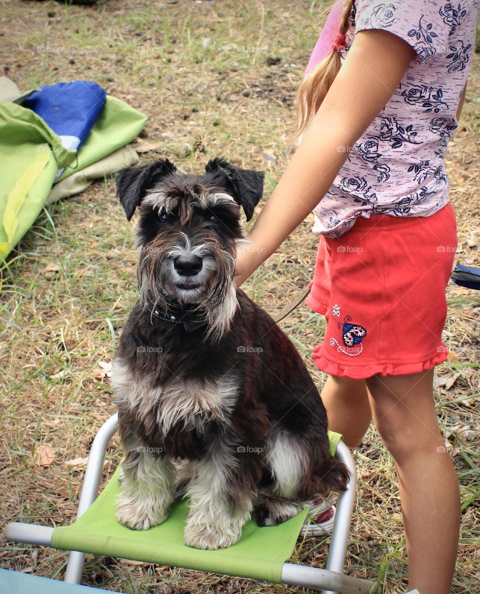 Little girl holding her cute dog outdoors 