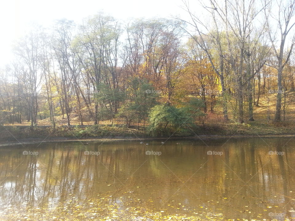 Autumn lake 