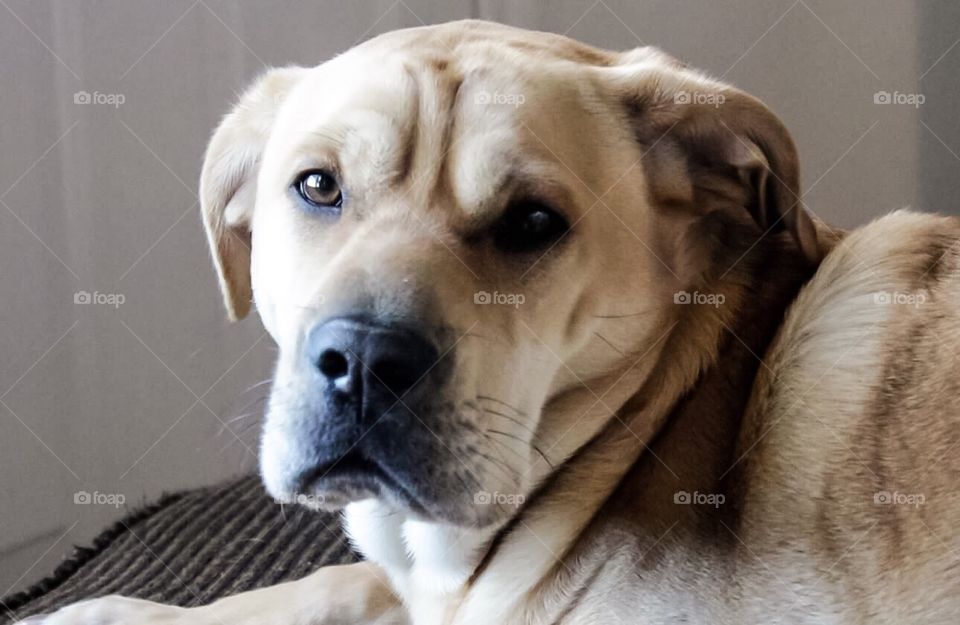 Sitting here looking through her old eyes 