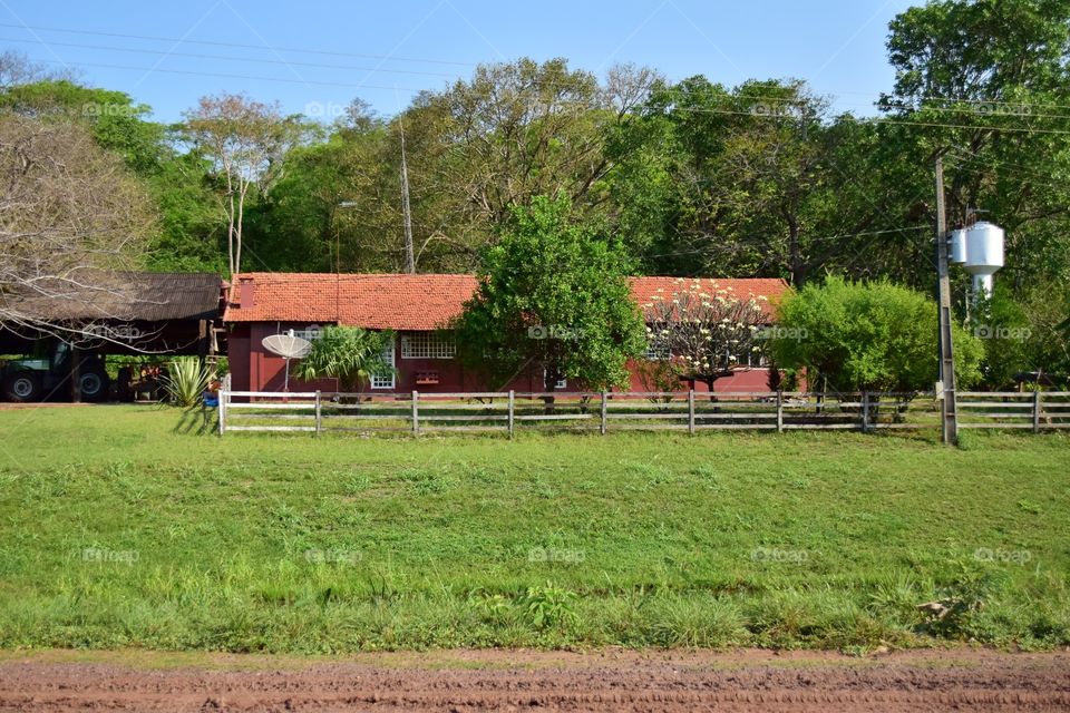 PANTANAL MS BRAZIL