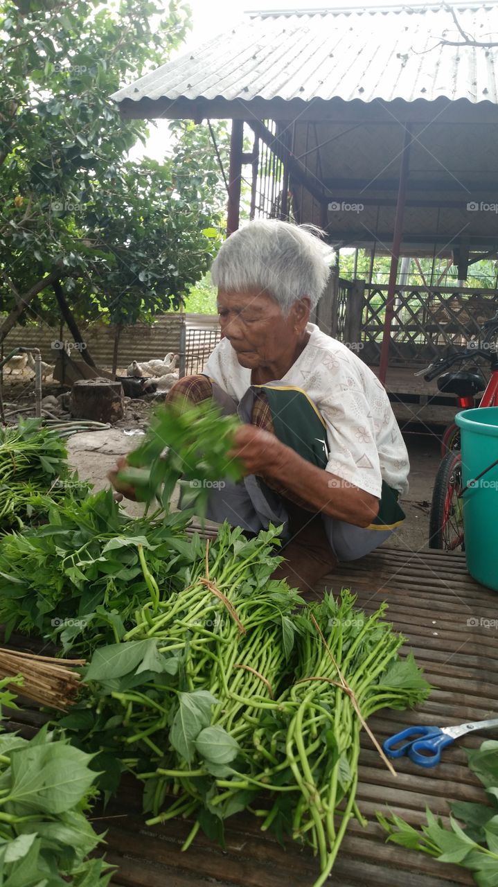 women in vegetable