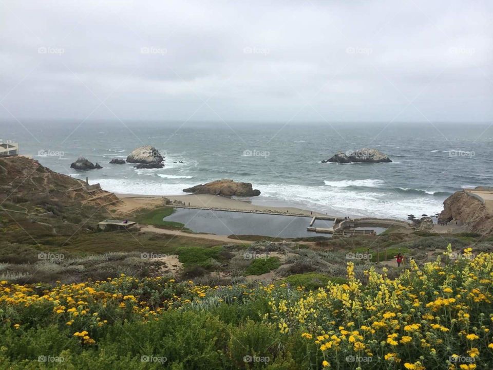 Ocean Beach San Francisco