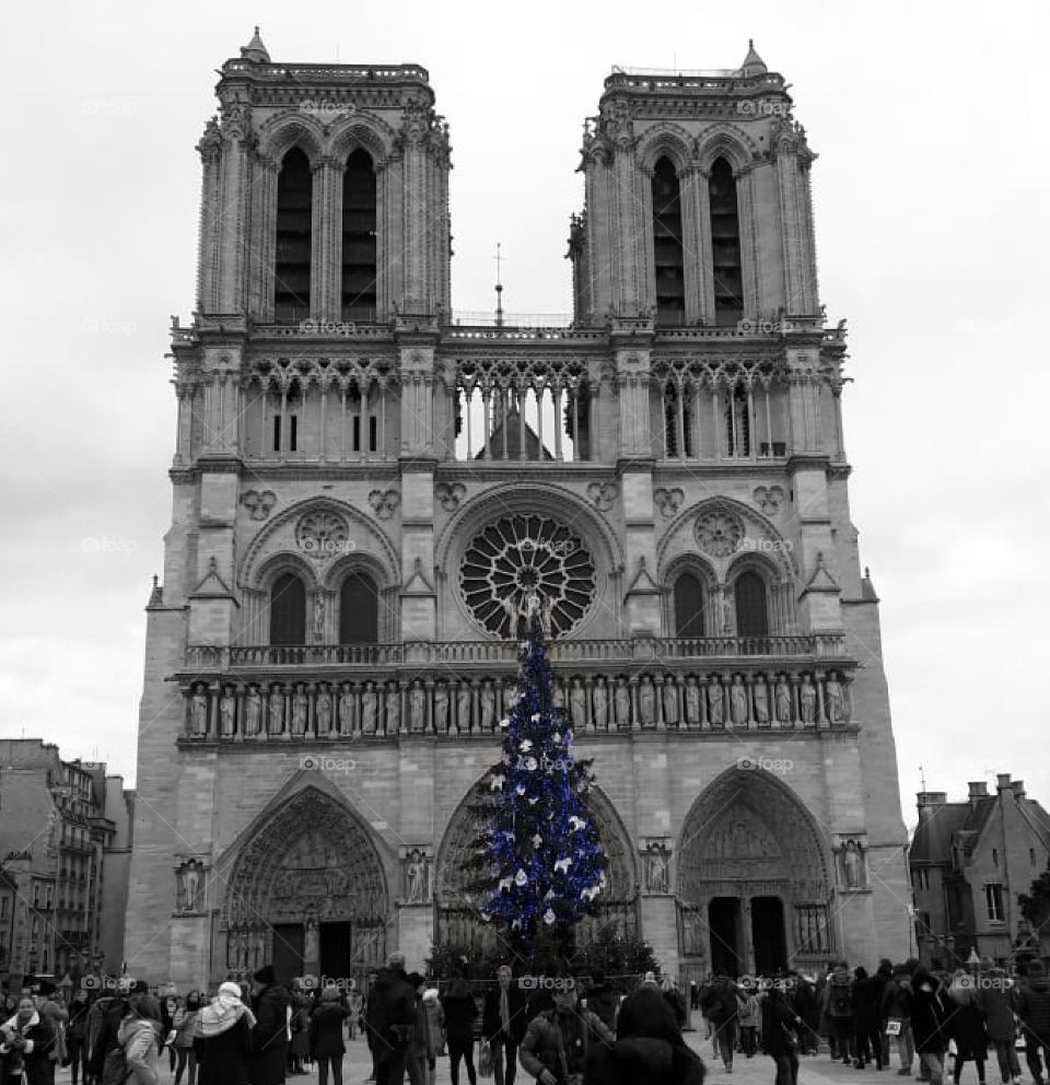 Notre Dame