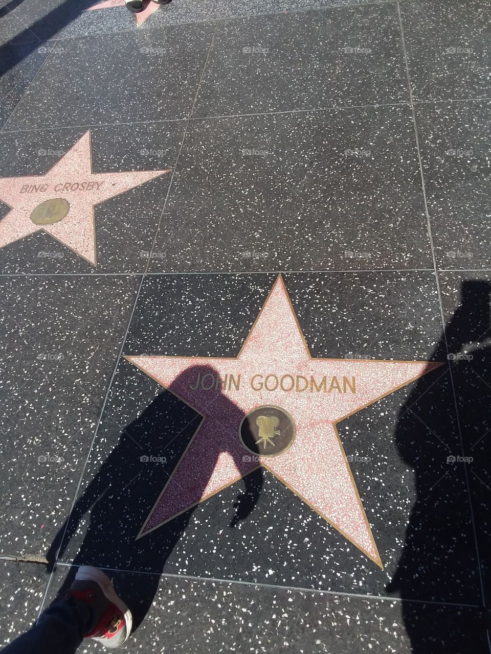 John Goodman Hollywood star