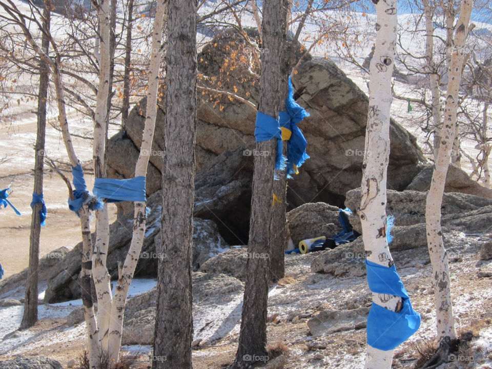 blue cloth tree park by thepapierdollies