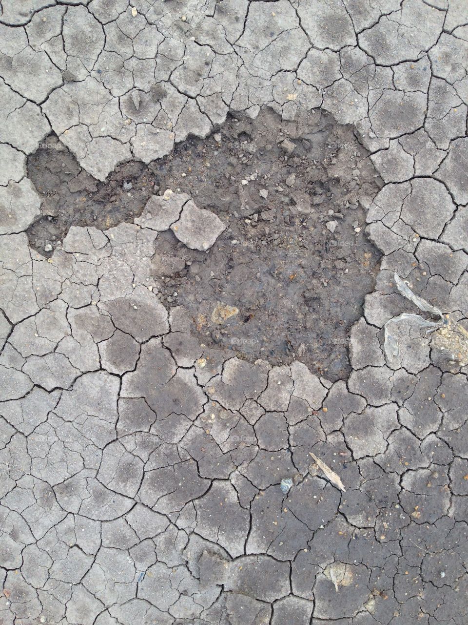 Ground crack.