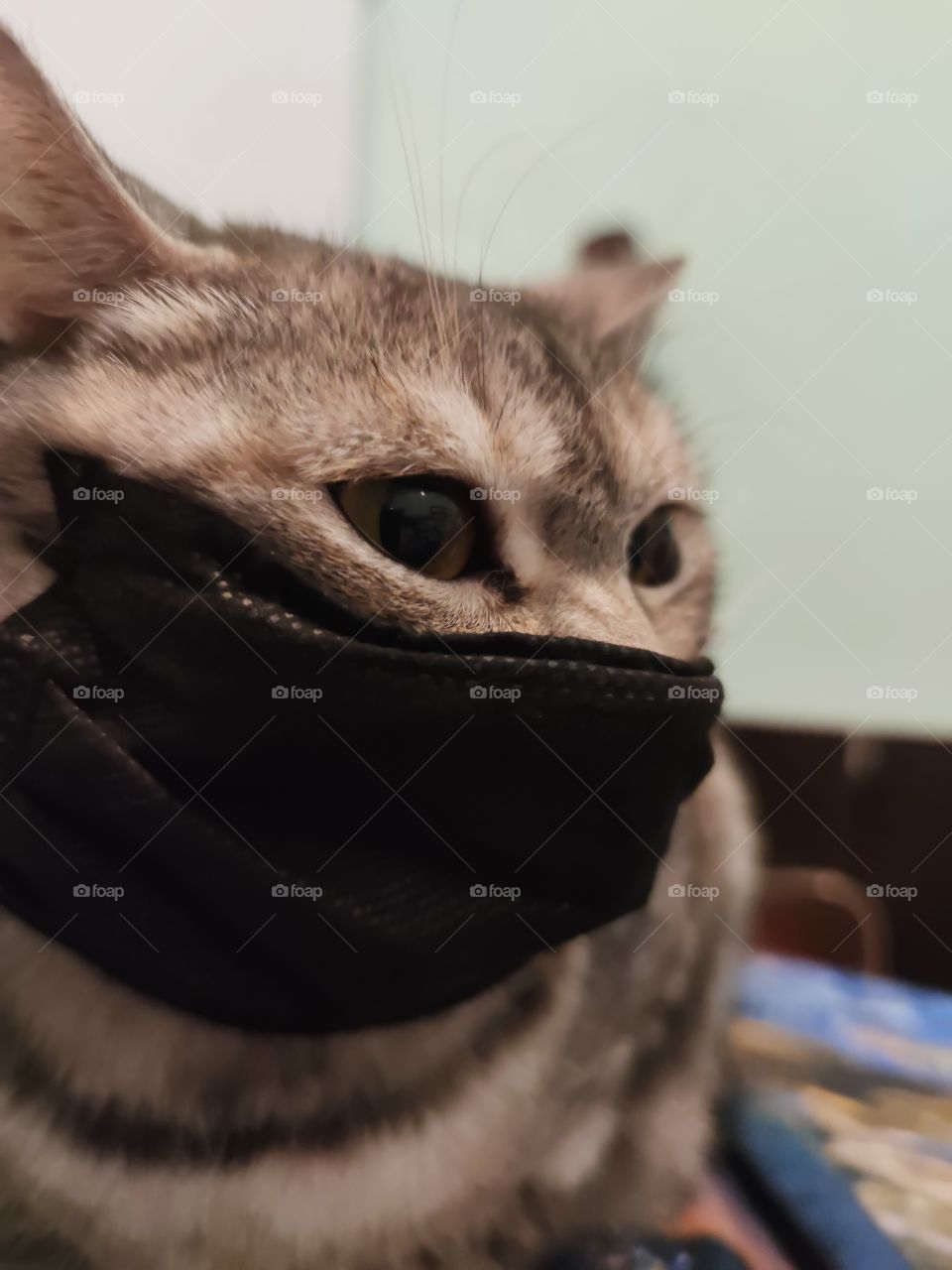 Mask mode does everyone work