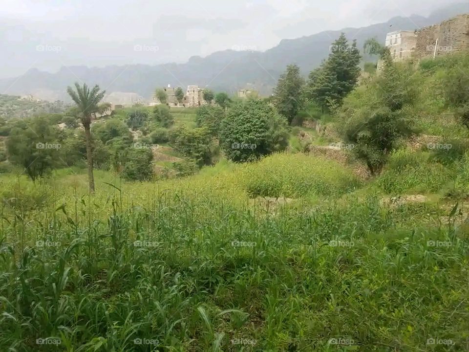 Glory be to God, the magnificent and picturesque view and the natural green trees are a view that is nothing more wonderful than it