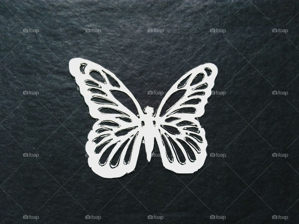 Butterfly cut from paper on a black background