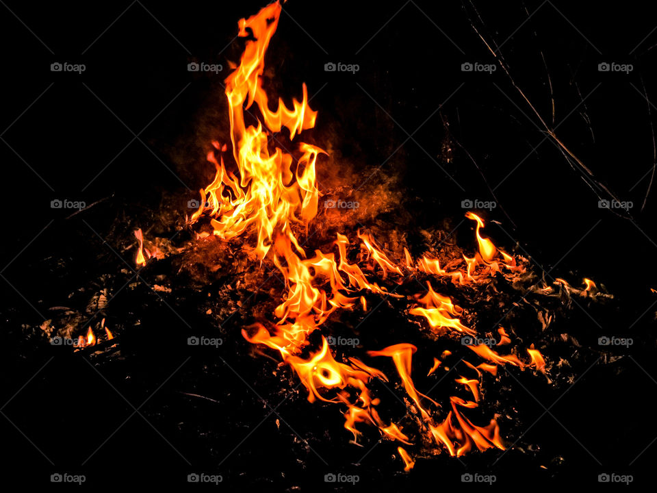 fire flames burning at night outdoors
