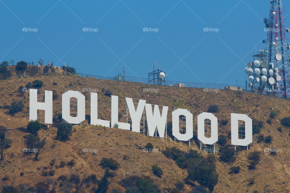 Hollywood 