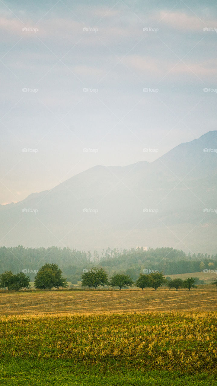 An inspiring mountain landscape. Tatry mountains in Slovakia. A beautiful wallpaper for smartphone screen. Warm summer haze, abstract gradient with perspective.