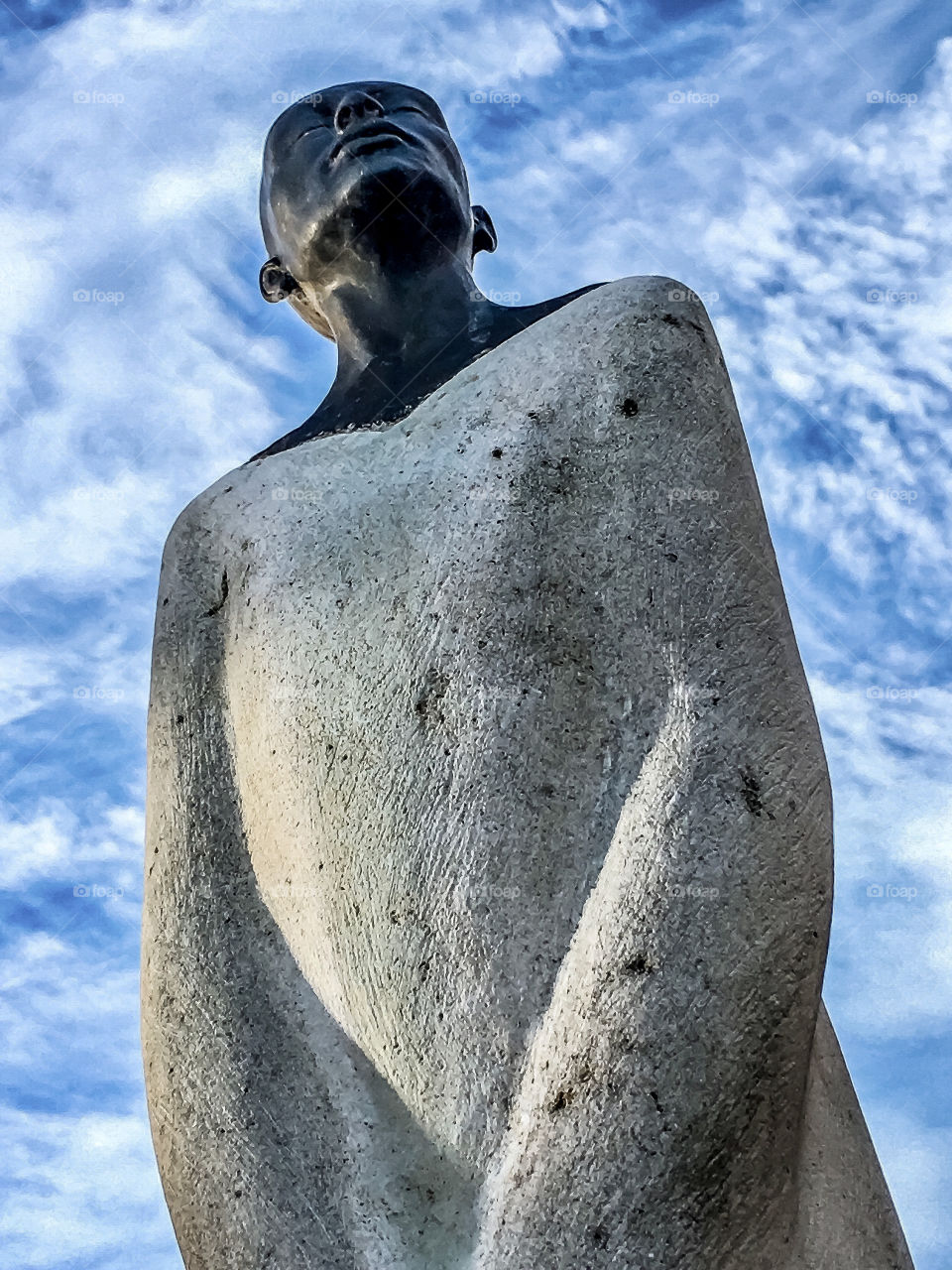 Survivor.. Standing Strong 