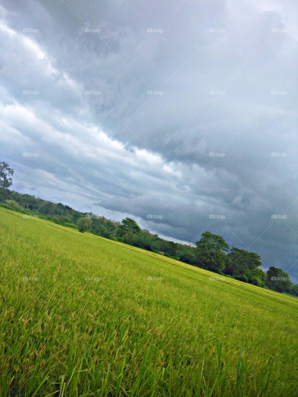 Cloud patterns in a rainy sky