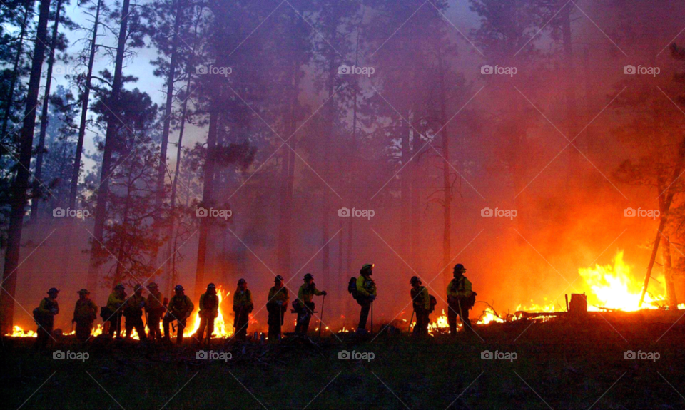 wildland fire fighters get ready to attack a forest fire at dusk. hotshot fire fighters. usa western usa by arizphotog