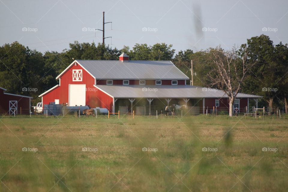 Red barn 