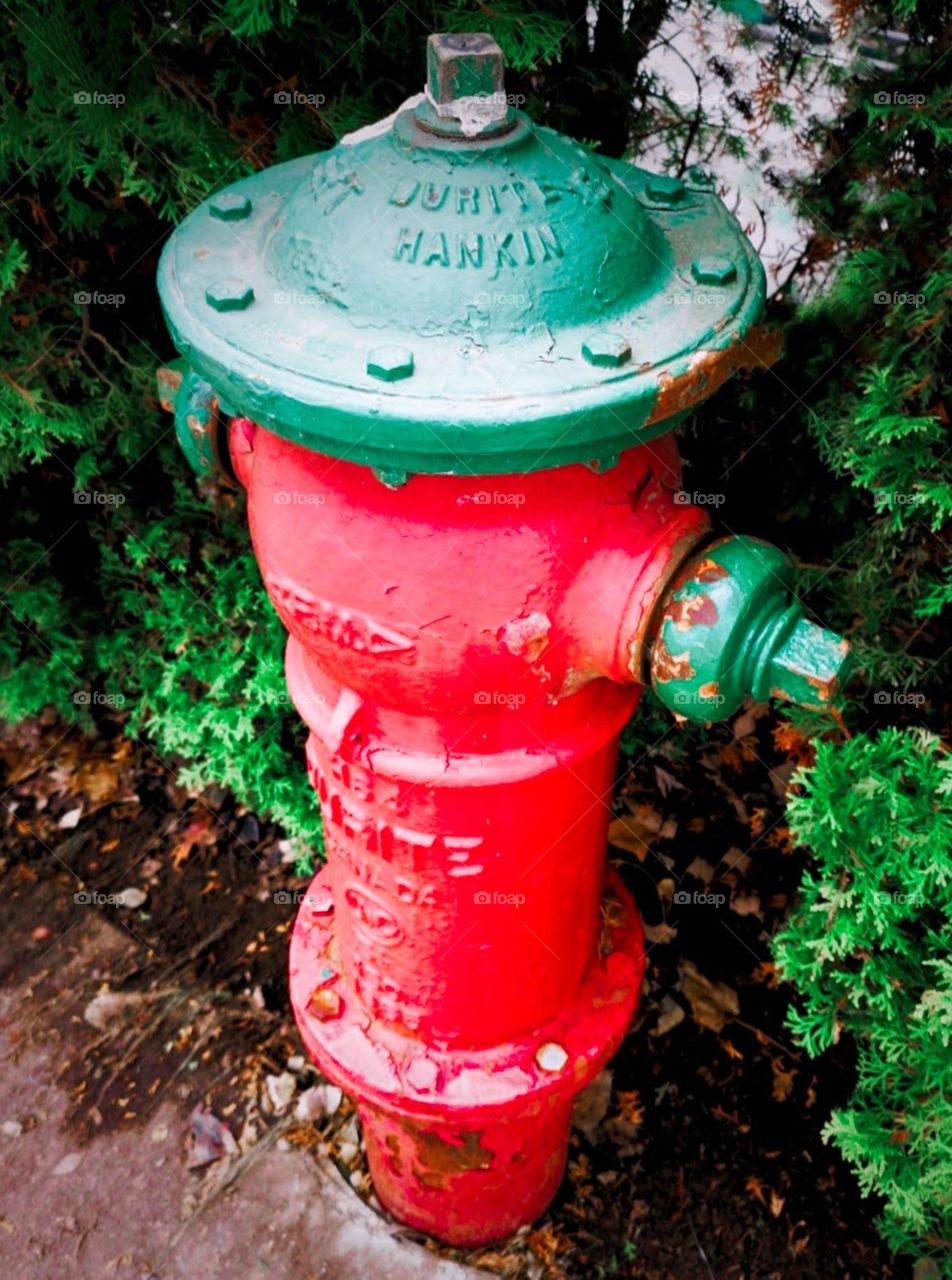 red fire hydrant