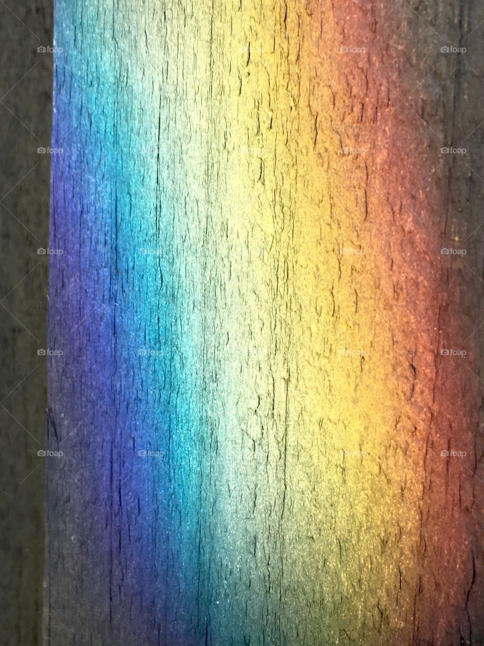 Rainbow on fence