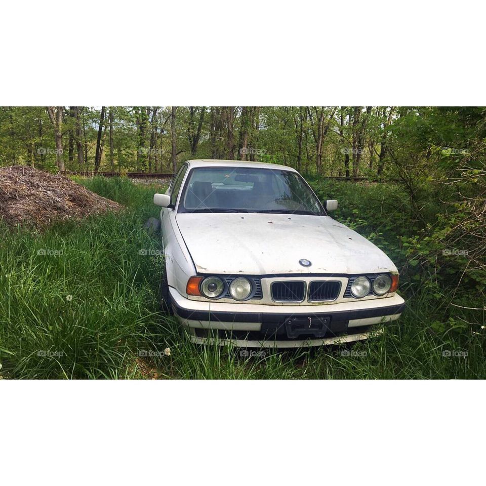 A secluded bmw in the woods