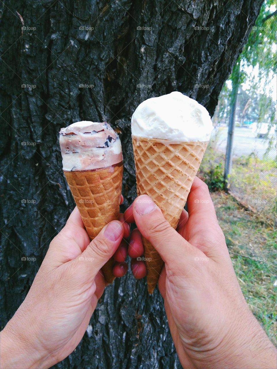 two frozen in two hands, summer