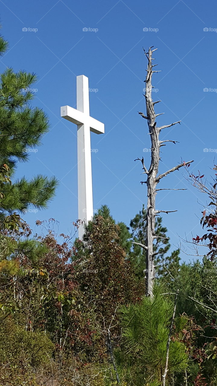 Cross and dead tree