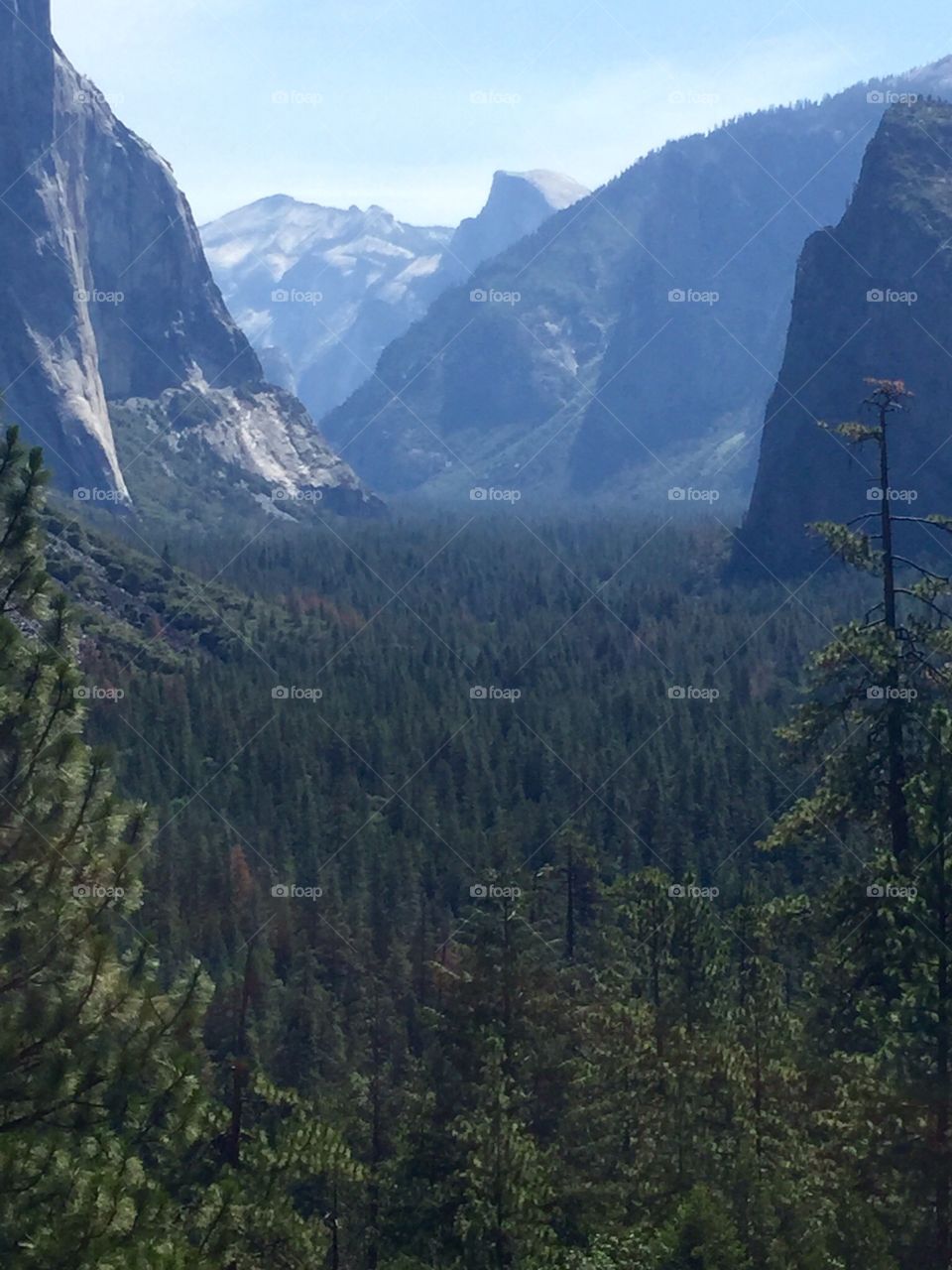 Yosemite Valley
National Park