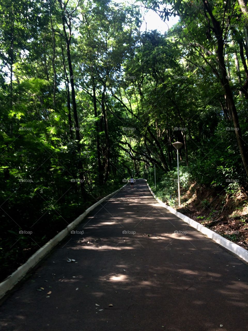 Trail 