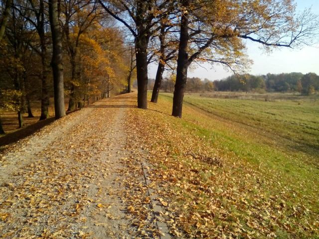 Autumn