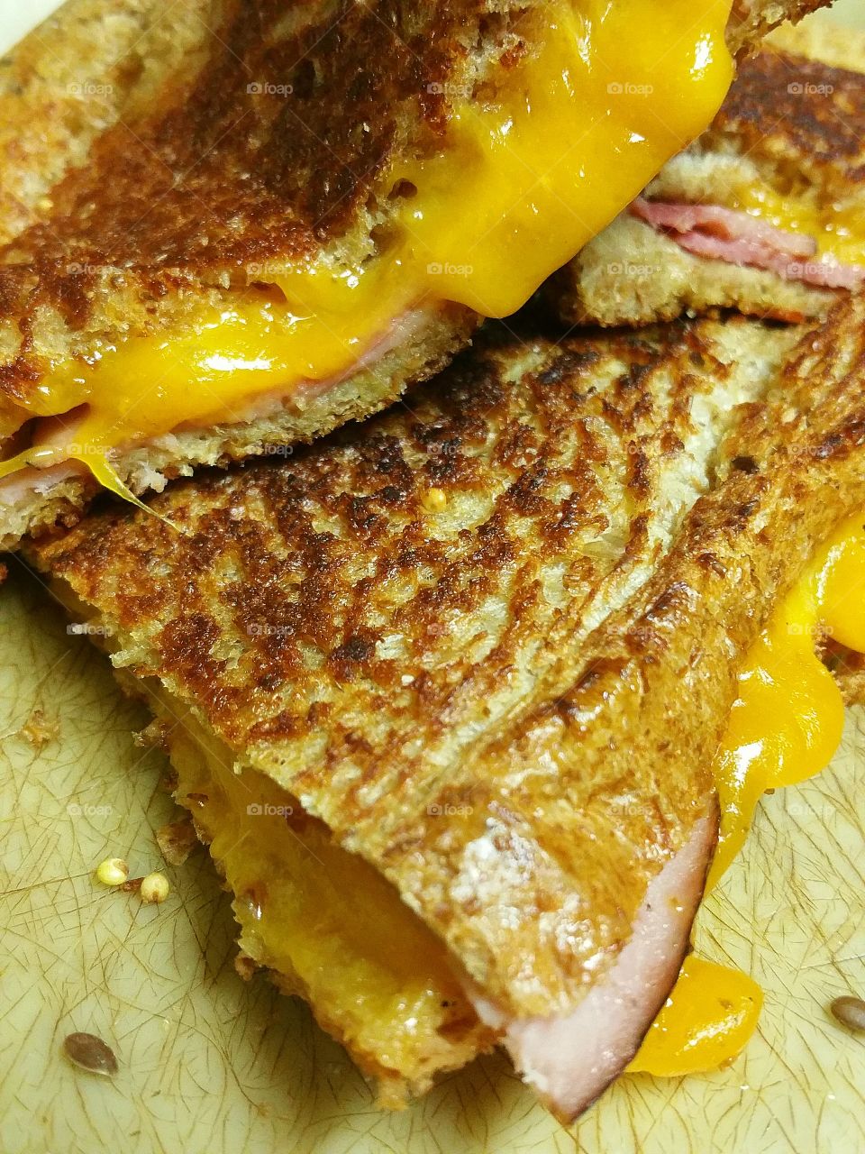 homemade grilled ham and cheese sandwich