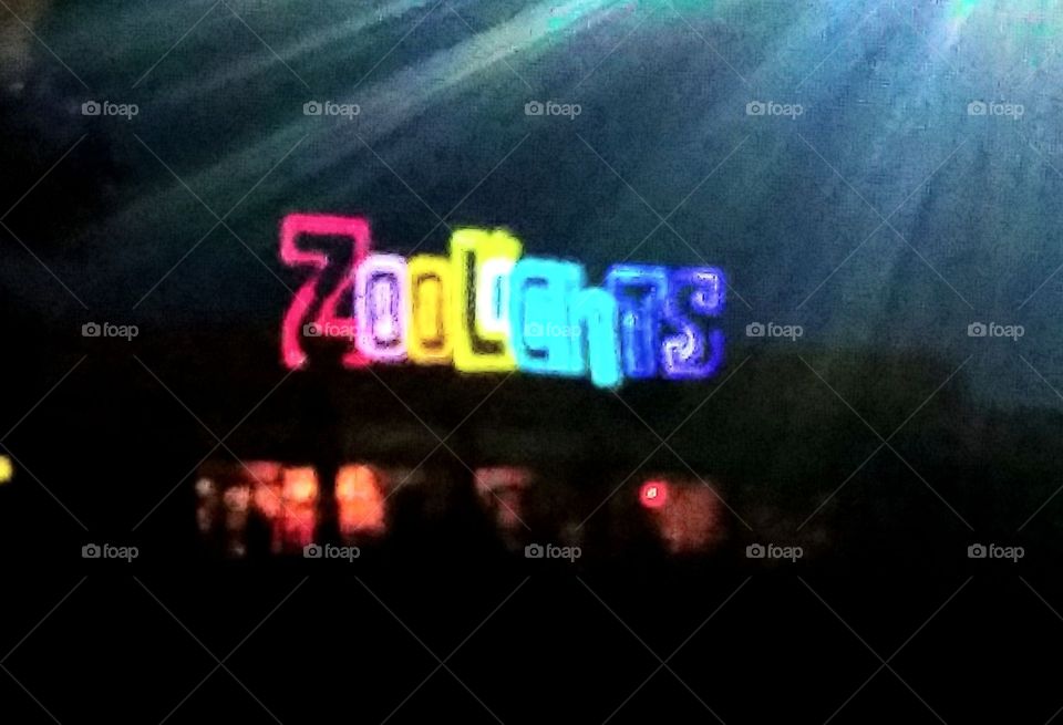 Zoo Lights sign in brilliant colors
