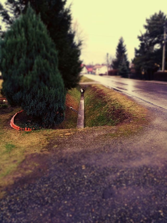 rainy day