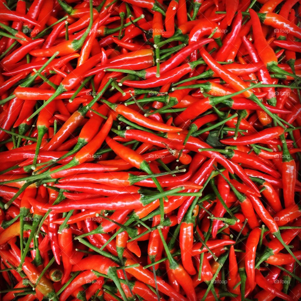 Red pepper 