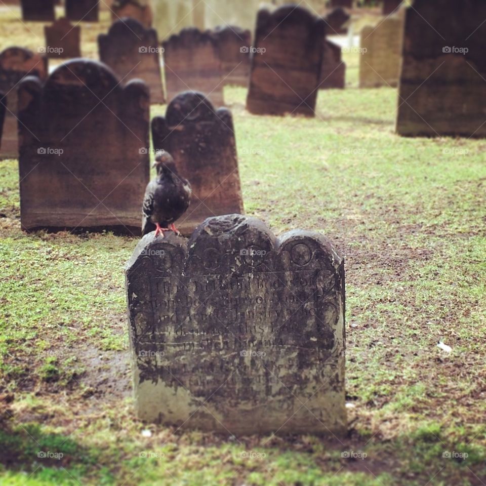 Trinity Church Cemetery