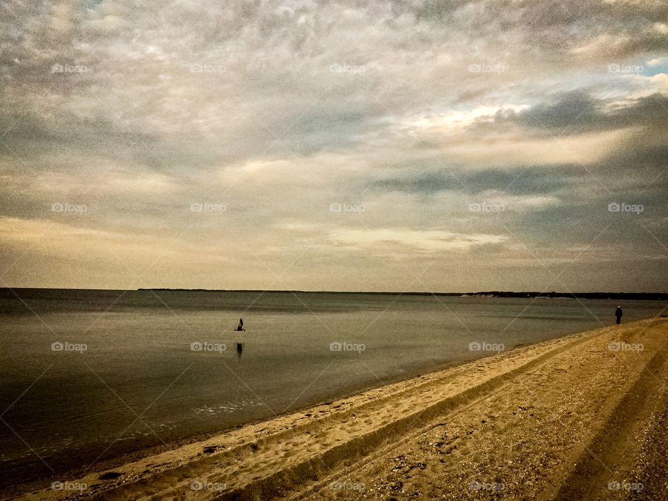 New York, Long Island, Kings Park, Sunken Meadow State Park, bird, sand, water, beach, clouds, nature, wind, waves, calm, relaxation, peaceful, sunset, summer, panoramic view, warm, colors,