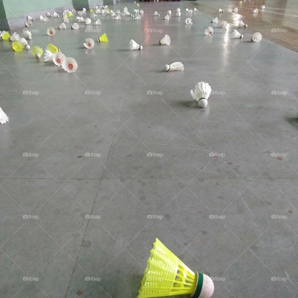 Scattered Shuttle Cock.