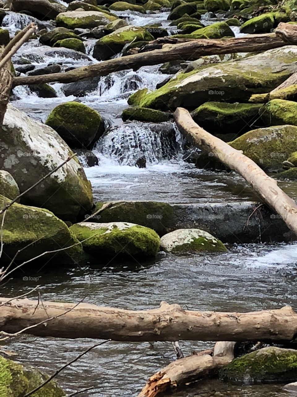 A water stream in the Smokey Mountains, featuring miss’s covered rocks, flowing water, logs positioned by nature to intrigue the eye. 