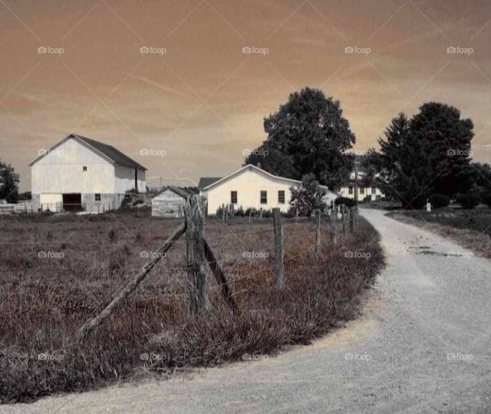 Amish farm