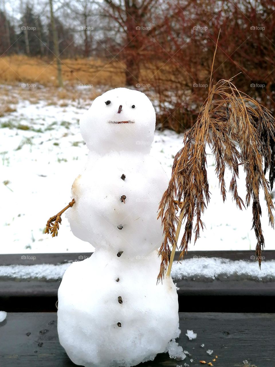 Snowman