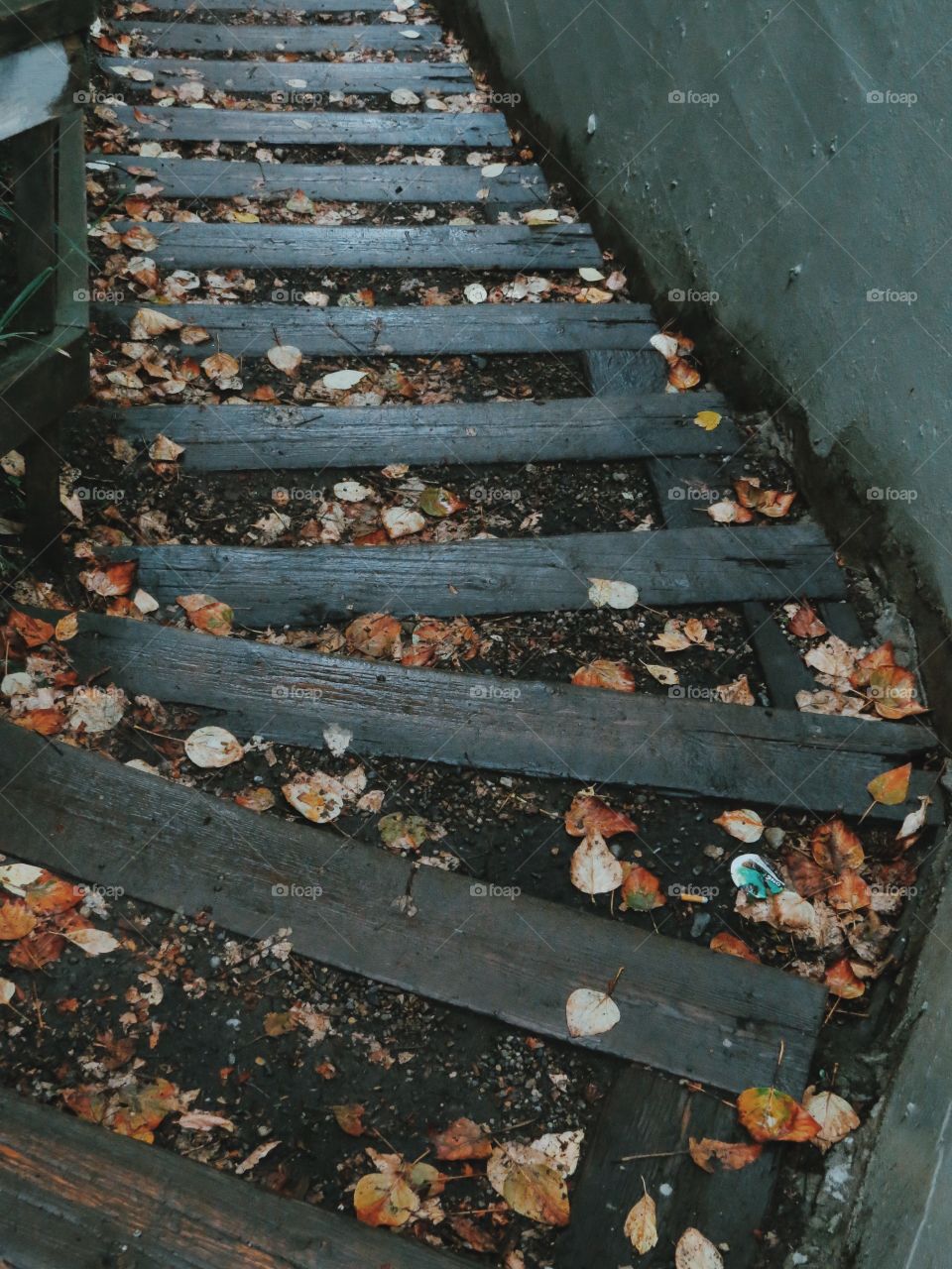 Step with autumn leaves