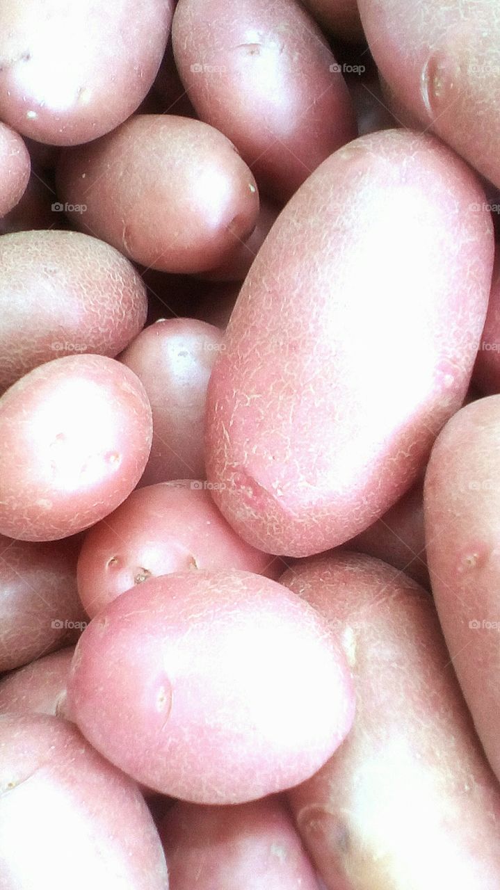 Potato in group