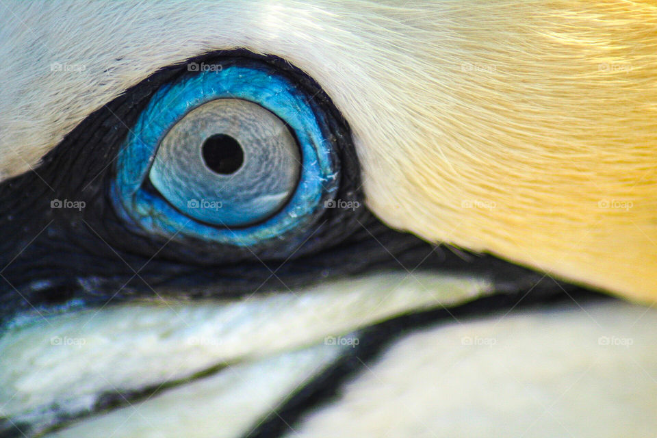 Expressiv and minimalist is my focus, taken with a Canon eos camera 