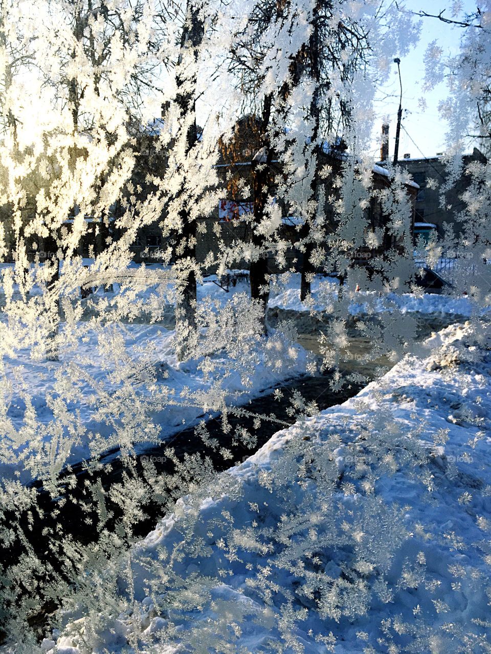 frosty patterns on the glass