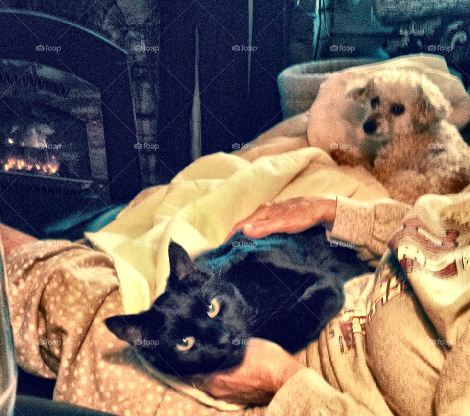 Cat & dog on couch with fire burning in living room.