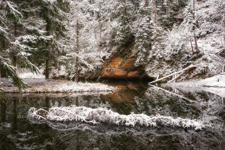 December. Winter. Beginning. Nature.