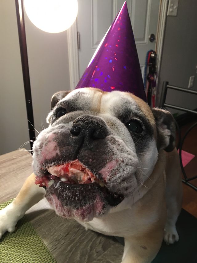 What cake????