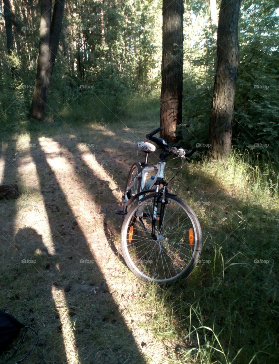 Wheel, Bike, Cyclist, Wood, Biker