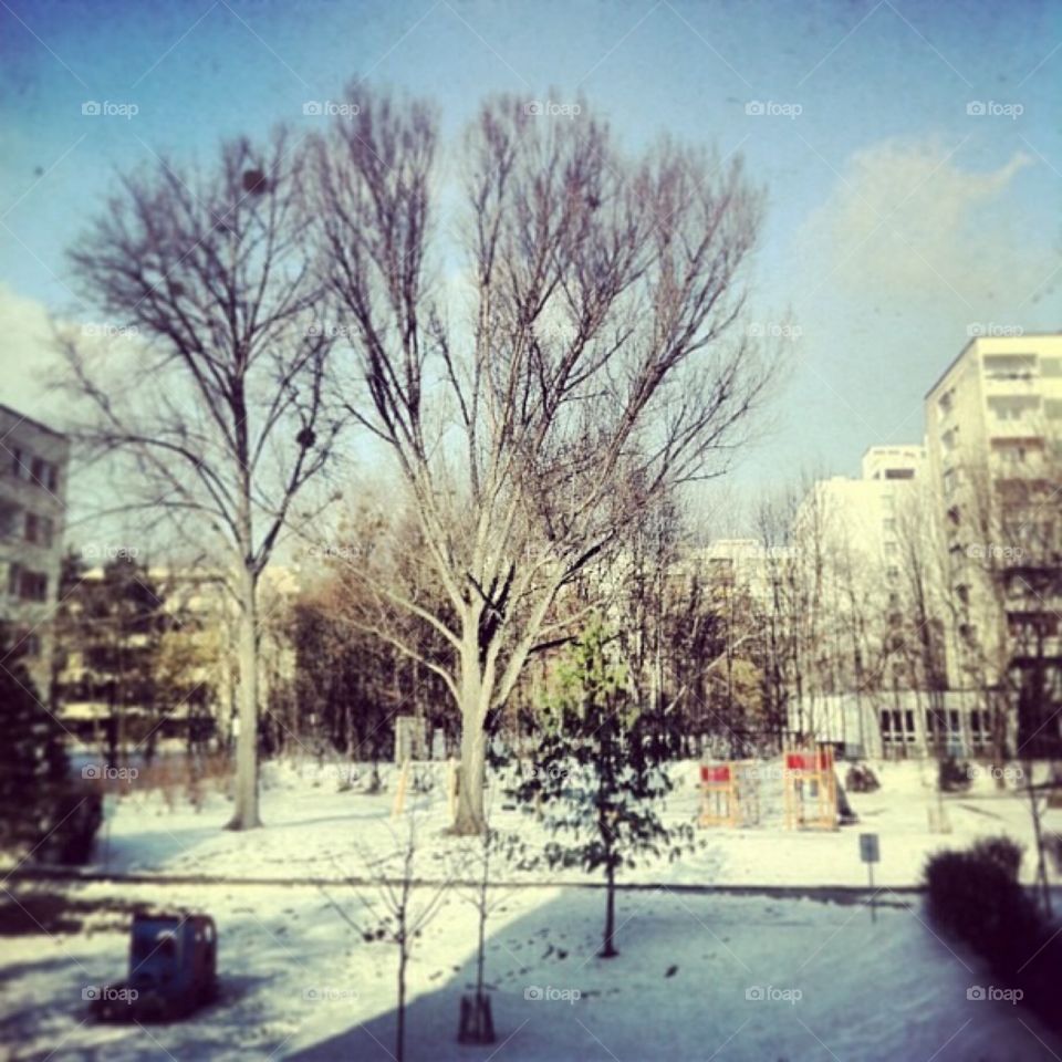 Winter s out my window 