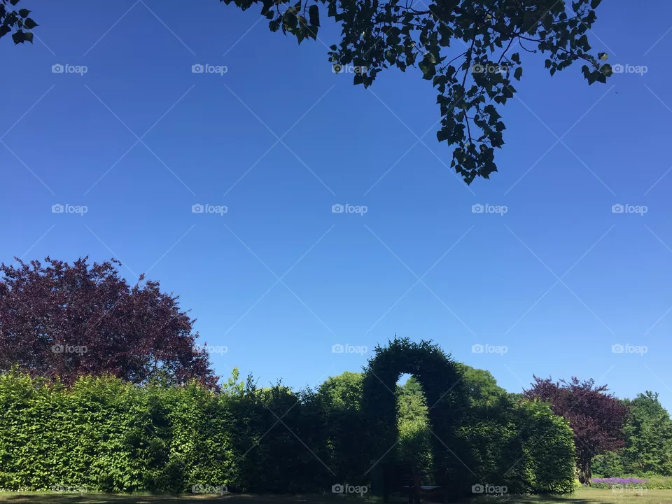 Park
