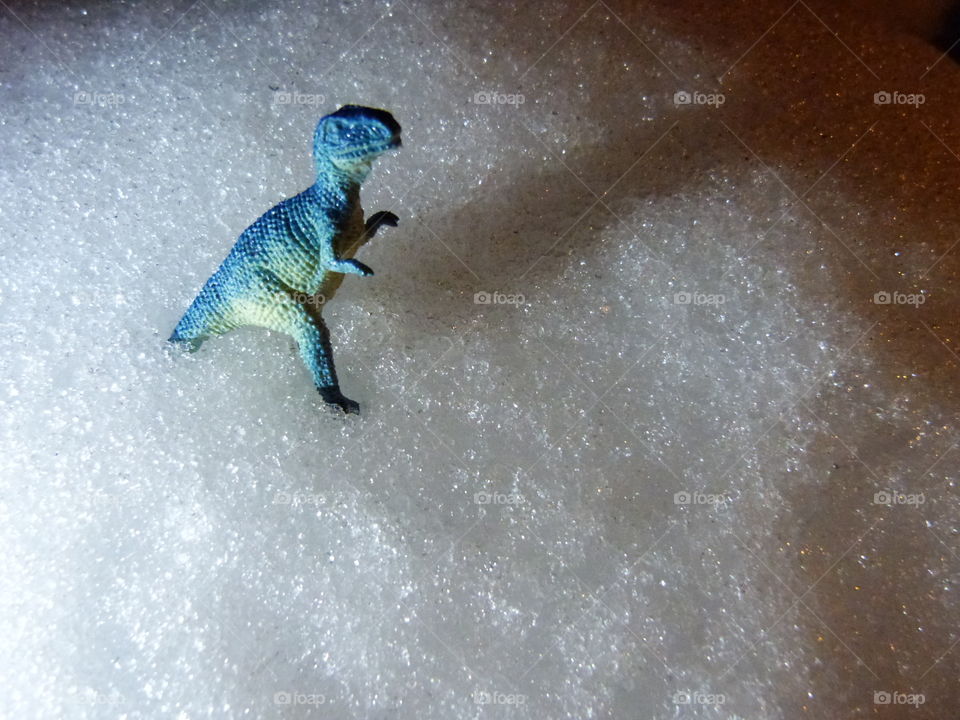 dinosaur shadow in the snow