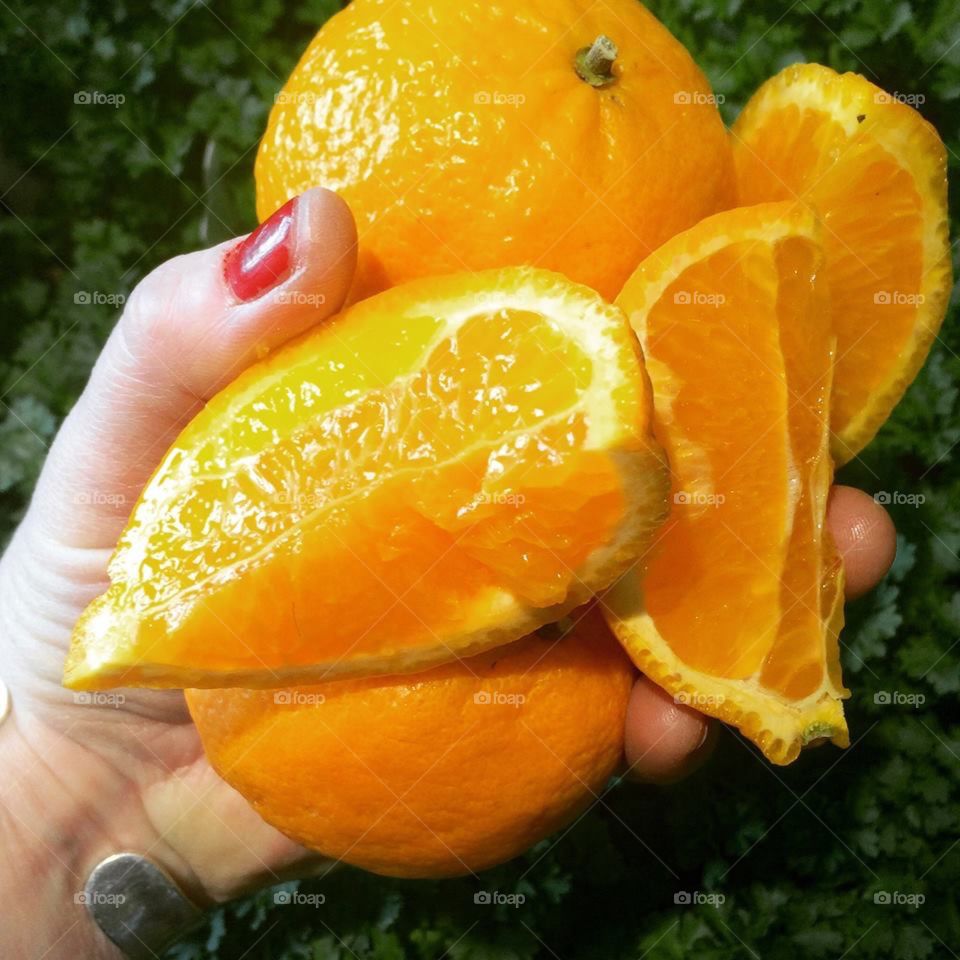 Juicy Oranges